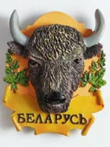 3D магниты на холодильник " Беларусь",